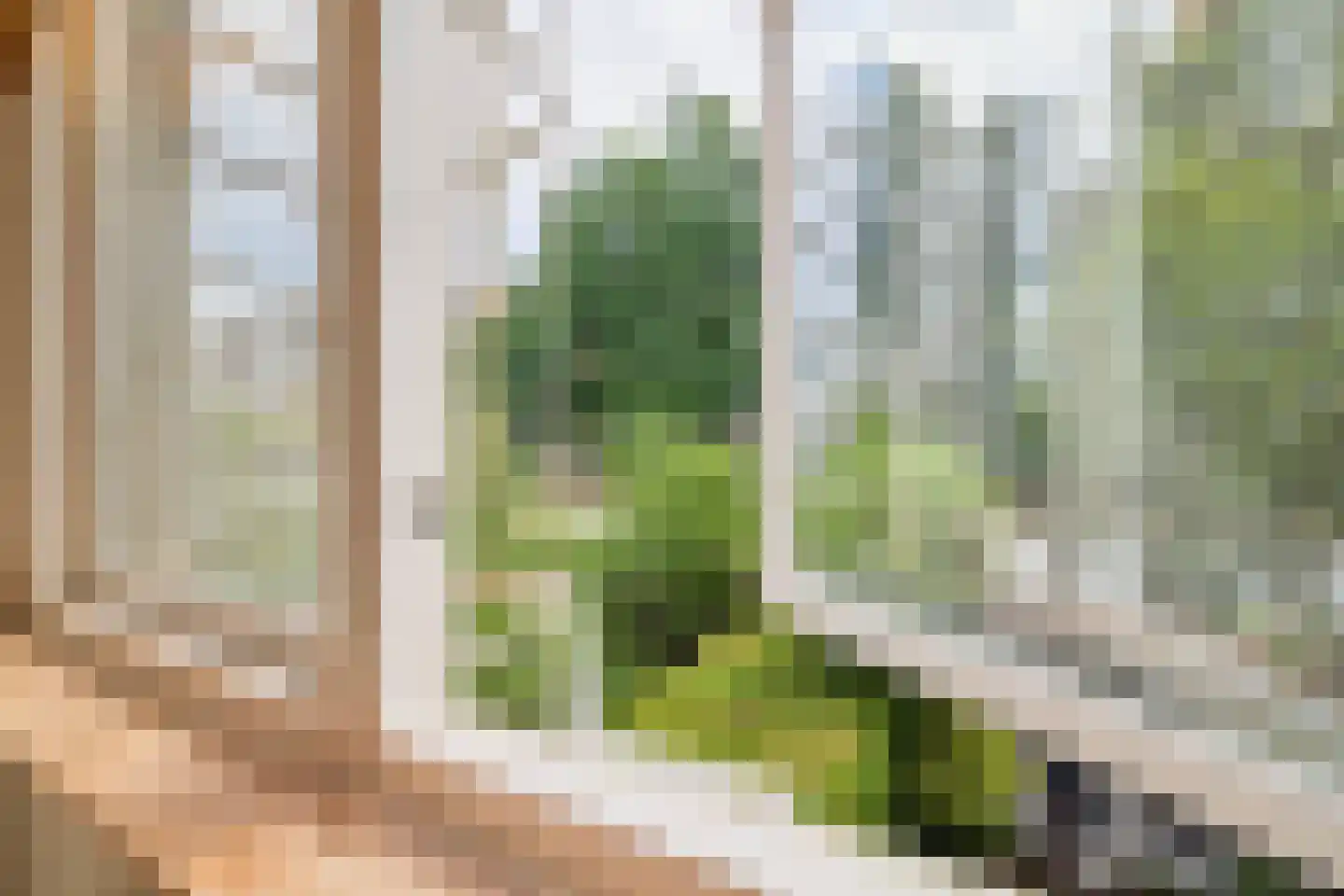 Willem Barentszstraat 57 Utrecht thumbnail 10
