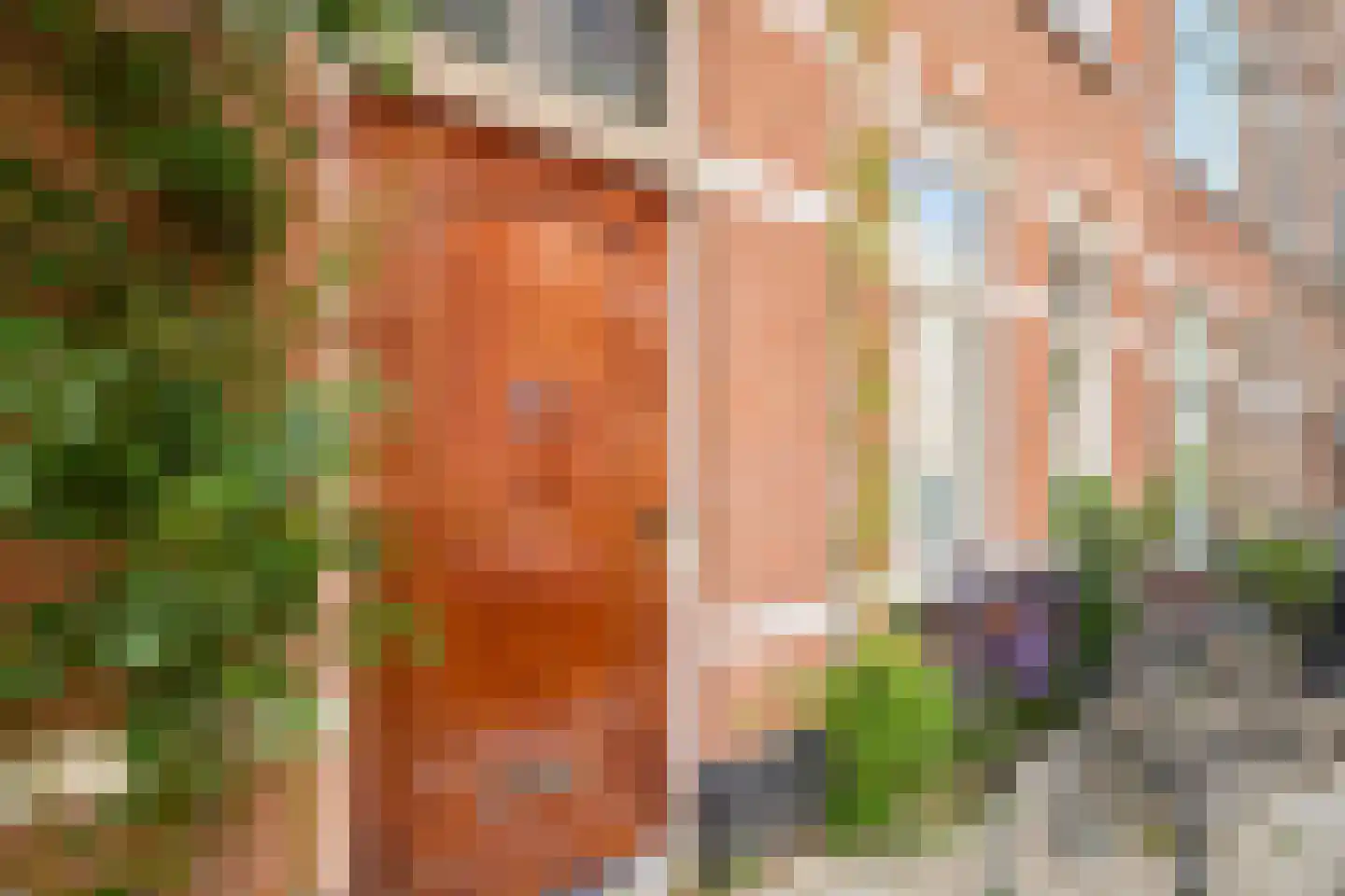Willem Barentszstraat 57 Utrecht thumbnail 20