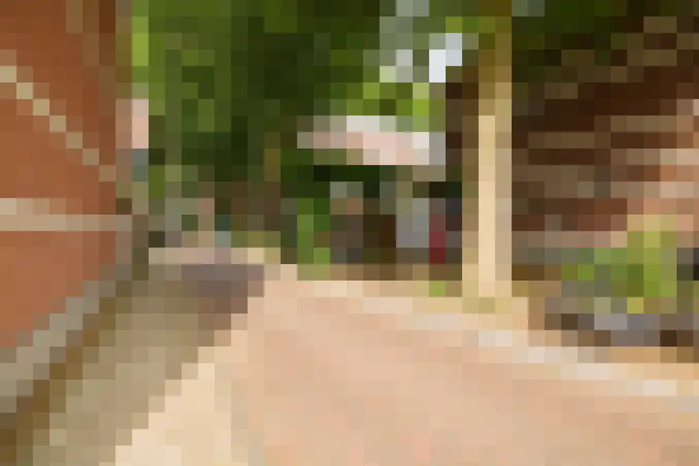 Willem Barentszstraat 57 Utrecht thumbnail 23
