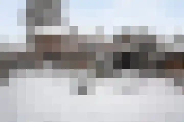 Willem Barentszstraat 59 Zwolle thumbnail 30