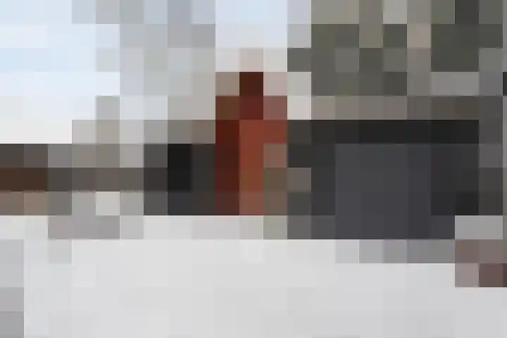 Willem Barentszstraat 59 Zwolle thumbnail 32