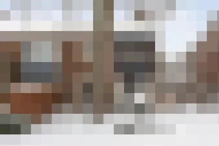 Willem Barentszstraat 59 Zwolle thumbnail 38
