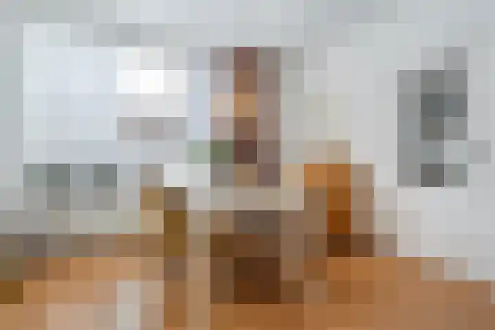Willem Barentszstraat 59 Zwolle thumbnail 7