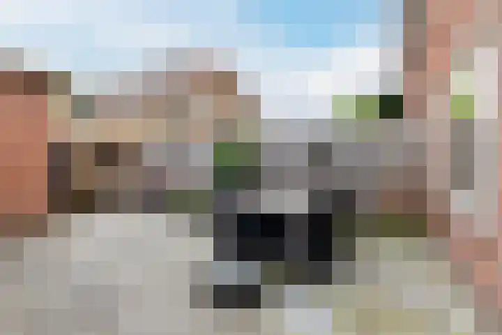 Willem Barentszstraat 63 Bussum thumbnail 22