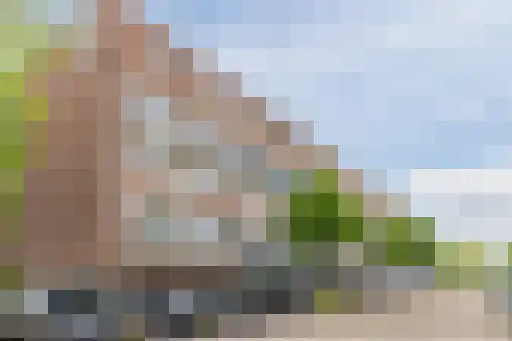 Willem Barentszstraat 70 's-Hertogenbosch thumbnail 34