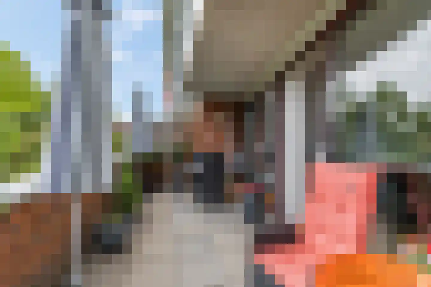 Willem Barentszstraat 75 Amersfoort thumbnail 10