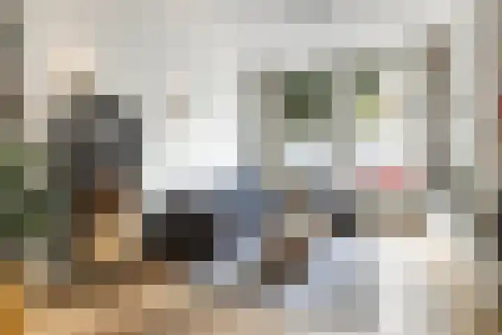 Willem Barentszstraat 9 Utrecht thumbnail 14