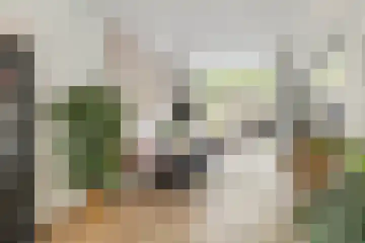 Willem Barentszstraat 9 Utrecht thumbnail 16