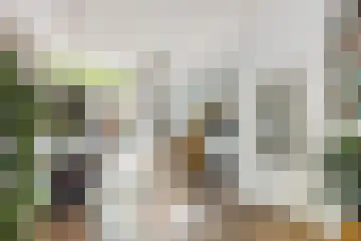 Willem Barentszstraat 9 Utrecht thumbnail 18