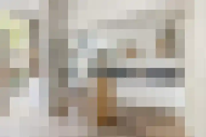 Willem Barentszstraat 9 Utrecht thumbnail 20