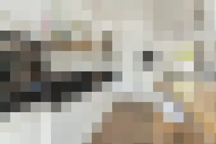 Willem Barentszstraat 9 Utrecht thumbnail 22