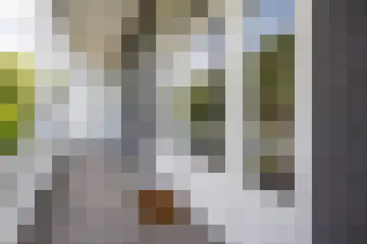 Willem Barentszstraat 9 Utrecht thumbnail 32