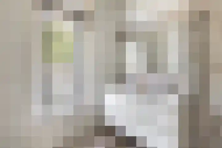 Willem Barentszstraat 9 Utrecht thumbnail 34