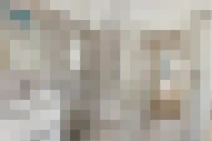 Willem Barentszstraat 9 Utrecht thumbnail 35