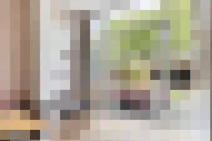 Willem Barentszstraat 9 Utrecht thumbnail 4