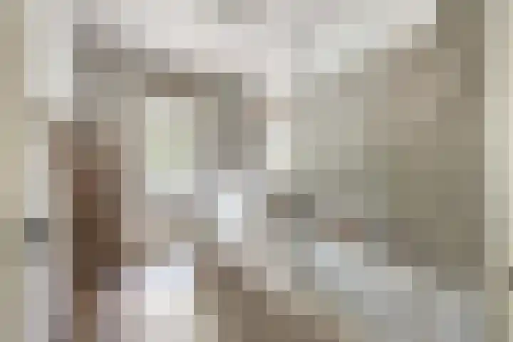 Willem Barentszstraat 9 Utrecht thumbnail 41