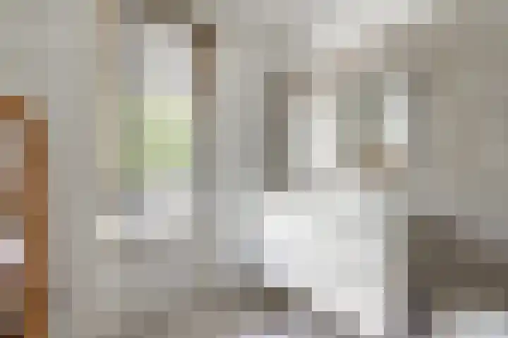 Willem Barentszstraat 9 Utrecht thumbnail 42
