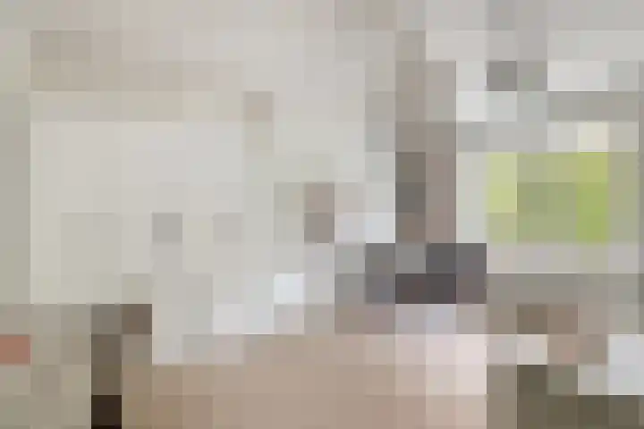 Willem Barentszstraat 9 Utrecht thumbnail 44