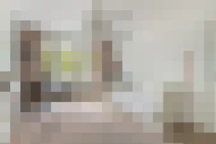 Willem Barentszstraat 9 Utrecht thumbnail 45