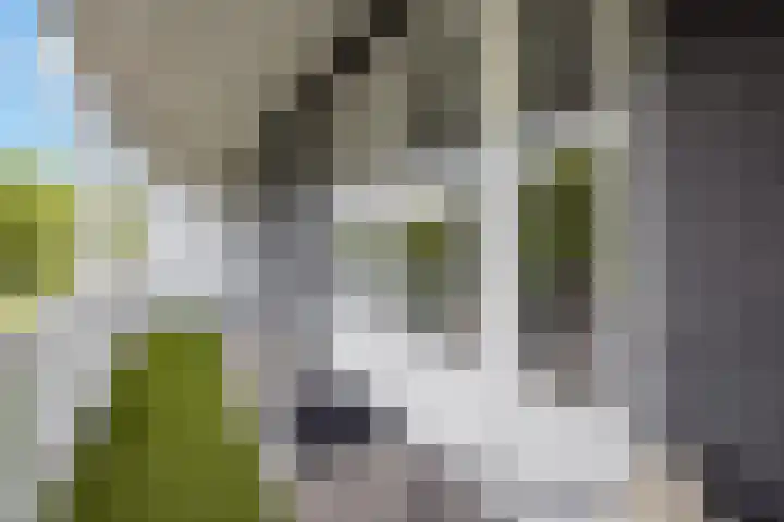 Willem Barentszstraat 9 Utrecht thumbnail 47