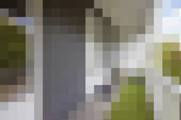 Willem Barentszstraat 9 Utrecht thumbnail 48
