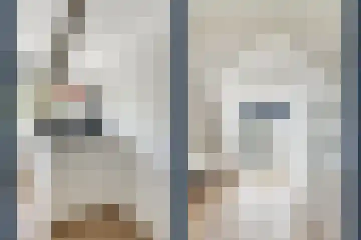 Willem Barentszstraat 9 Utrecht thumbnail 55