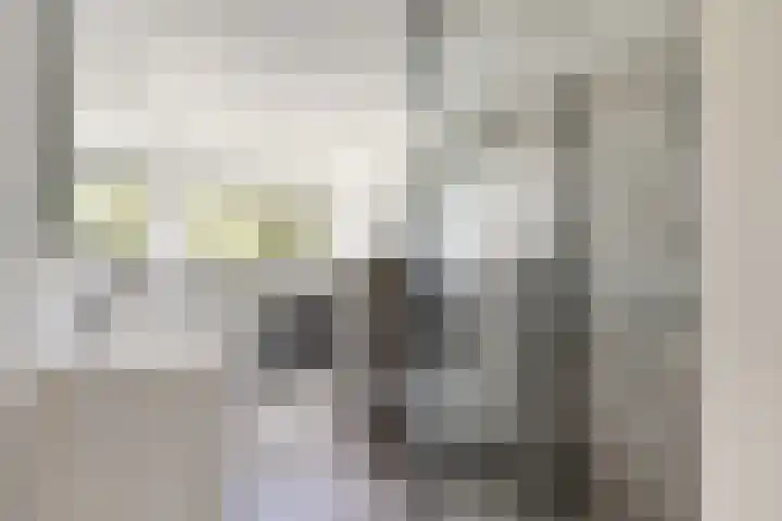 Willem Barentszstraat 9 Utrecht thumbnail 56