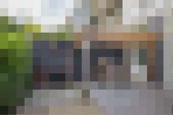 Willem Barentszstraat 9 Utrecht thumbnail 60