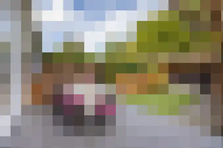 Willem Barentszstraat 9 Utrecht thumbnail 61