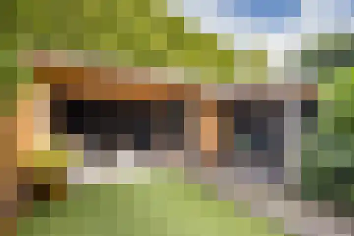 Willem Barentszstraat 9 Utrecht thumbnail 64