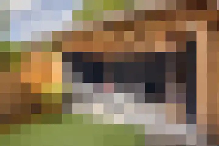 Willem Barentszstraat 9 Utrecht thumbnail 65