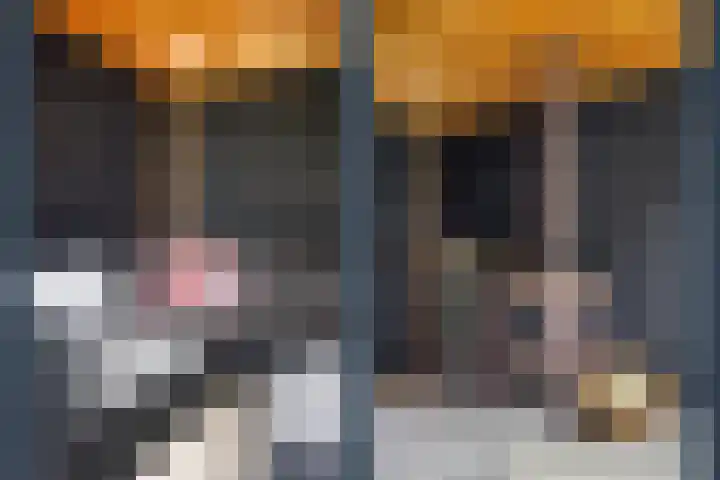 Willem Barentszstraat 9 Utrecht thumbnail 66