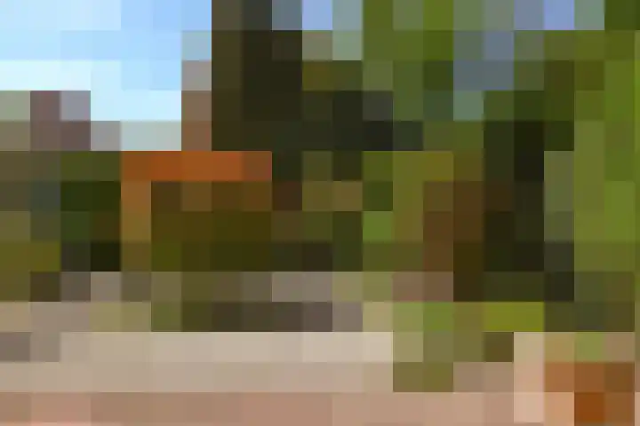 Willem Barentszweg 112 Hilversum thumbnail 14