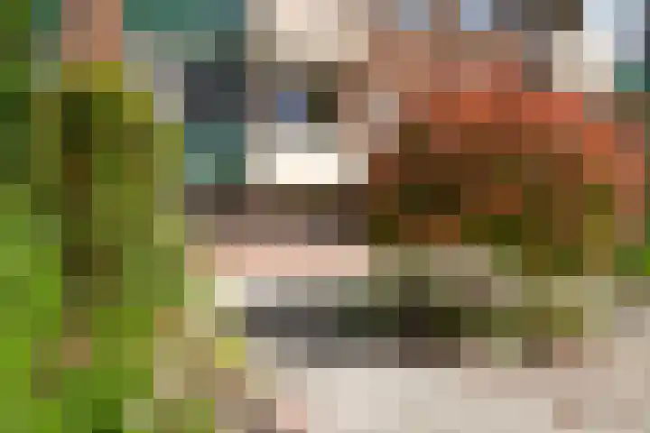 Willem Barentszweg 112 Hilversum thumbnail 15