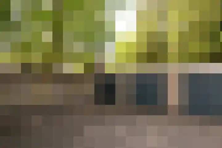Willem Barentszweg 112 Hilversum thumbnail 16