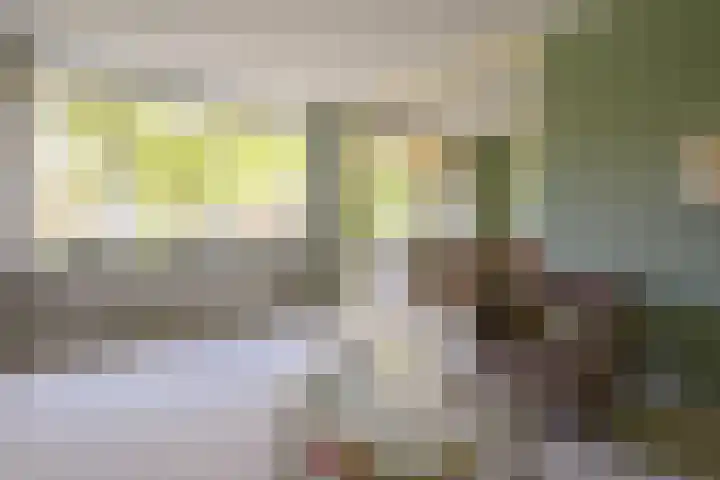 Willem Barentszweg 112 Hilversum thumbnail 5