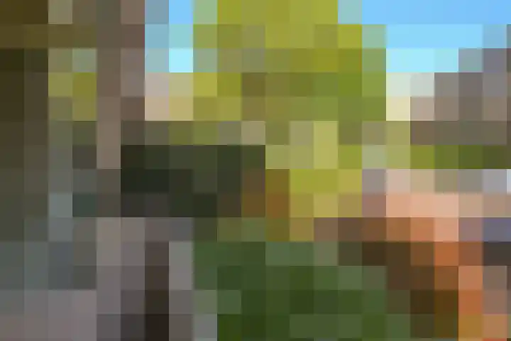 Willem Barentszweg 112 Hilversum thumbnail 7