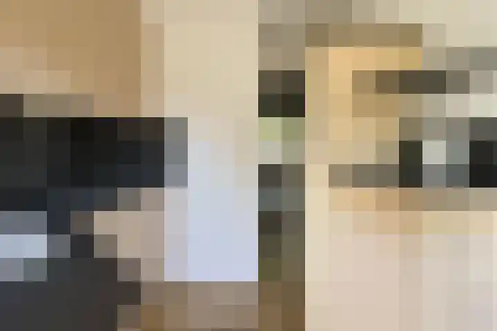 Willem Barentszweg 112 Hilversum thumbnail 9