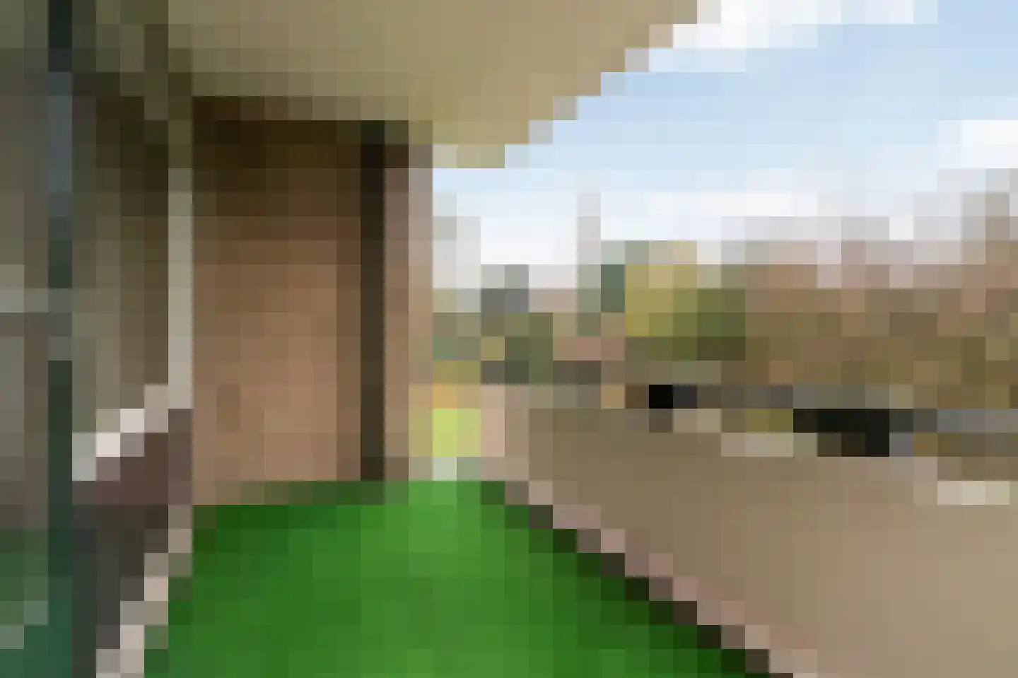 Willem Barentszweg 148 Hilversum thumbnail 18