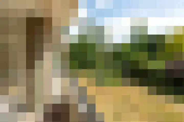 Willem Barentszweg 152 Hilversum thumbnail 4