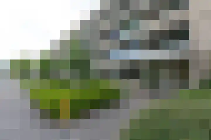 Willem Barentszweg 152 Hilversum thumbnail 6