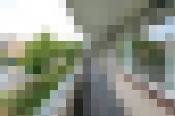 Willem Barentszweg 152 Hilversum thumbnail 7