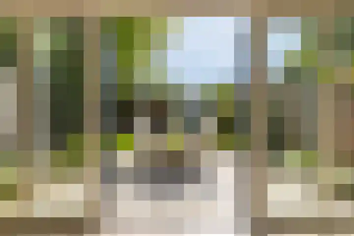 Willem Barentszweg 206 Hilversum thumbnail 17
