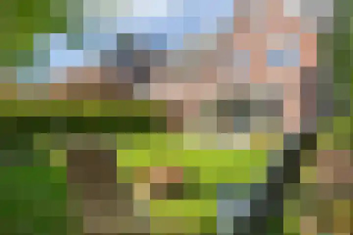 Willem Barentszweg 206 Hilversum thumbnail 18