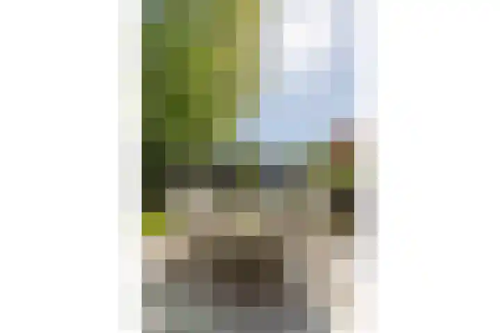 Willem Barentszweg 206 Hilversum thumbnail 38