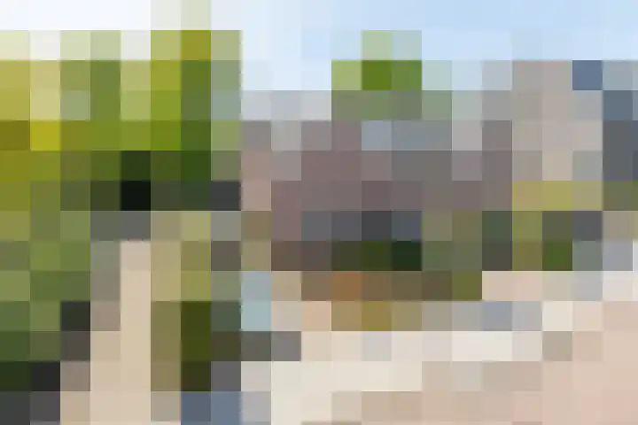 Willem Barentszweg 206 Hilversum thumbnail 4