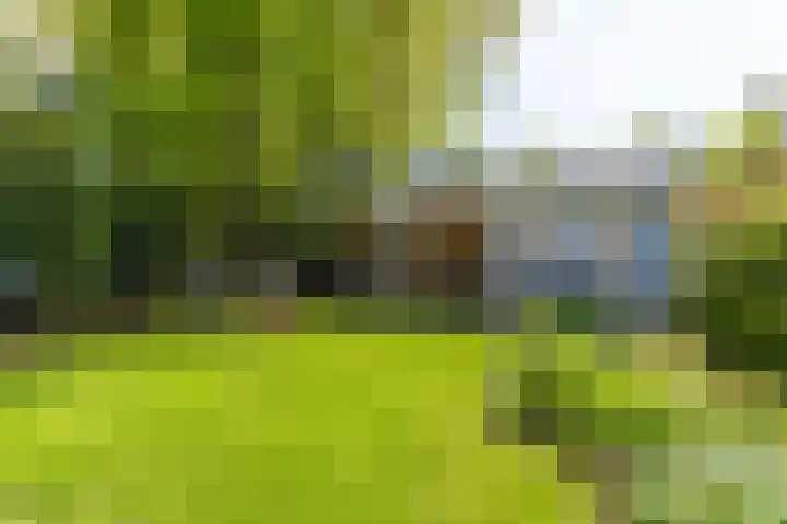 Willem Barentszweg 206 Hilversum thumbnail 44