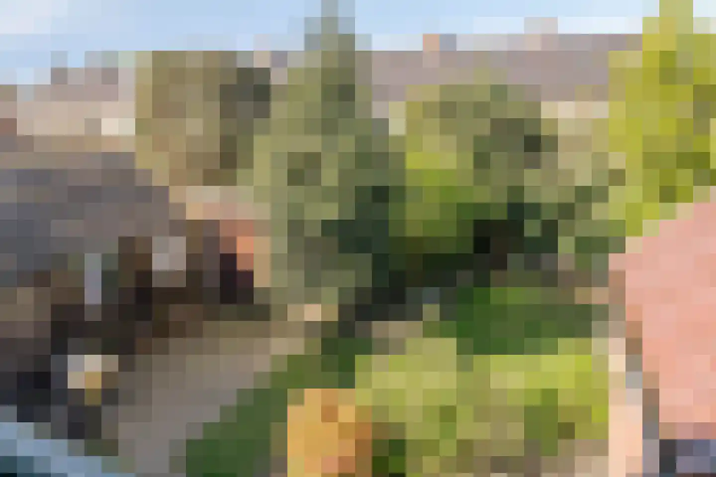 Willem Barentszweg 30 Hilversum thumbnail 37