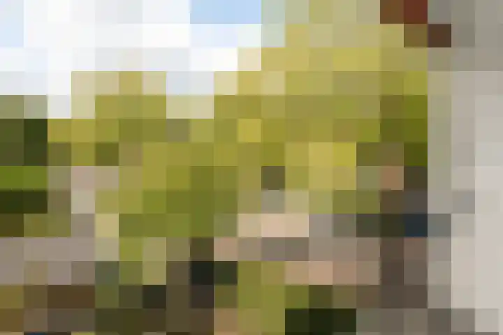 Willem Barentszweg 42 Hilversum thumbnail 18