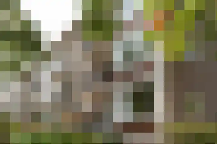 Willem Barentszweg 42 Hilversum thumbnail 22